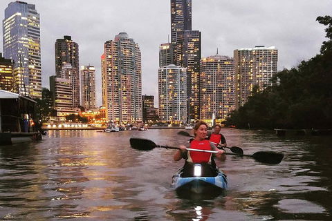 Brisbane River Guided Evening Tour By Kayak - Our Most Popular Tour - Accommodation BNB 3