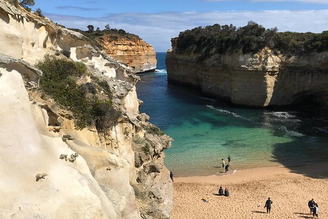 Great Ocean Road Reverse Itinerary PREMIUM Tour - Accommodation BNB 3