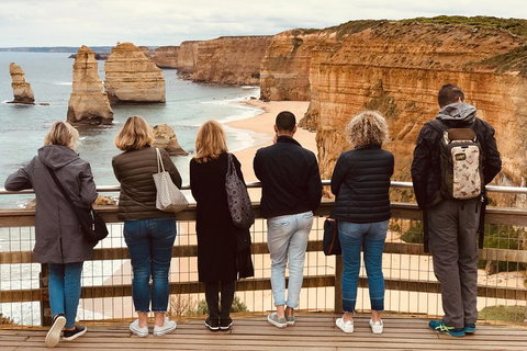 Great Ocean Road Reverse Itinerary PREMIUM Tour - Accommodation BNB 5