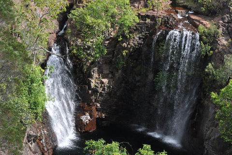 Litchfield And Jumping Crocodiles Full Day Trip From Darwin - Accommodation BNB 2