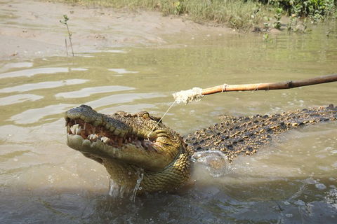 Litchfield And Jumping Crocodiles Full Day Trip From Darwin - Accommodation BNB 4