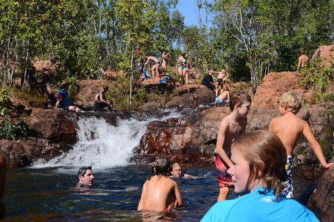 Litchfield And Jumping Crocodiles Full Day Trip From Darwin - Accommodation BNB 5