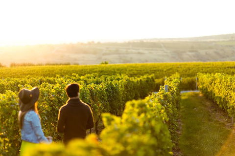 Margaret River Private Tour - Accommodation BNB 2