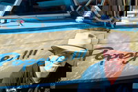 Torrens River Cruise in Adelaide