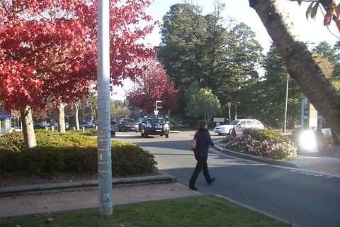 PRIVATE All-Day Blue Mountains Tour With Professional Guide For Up To 4 People - Accommodation BNB 1