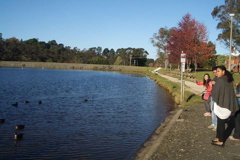 PRIVATE All-Day Blue Mountains Tour With Professional Guide For Up To 4 People - Accommodation BNB 2