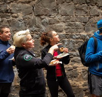 History  Donuts Walking Tour