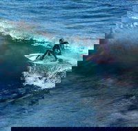 Great Ocean Road Highlights Tour - 2 Days 1 Night - Accommodation BNB