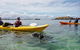 Seal Island And Penguin Island Or Point Peron Sea Kayak Tour - thumb 0