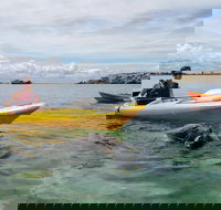Seal Island and Penguin Island or Point Peron Sea Kayak Tour - Accommodation BNB