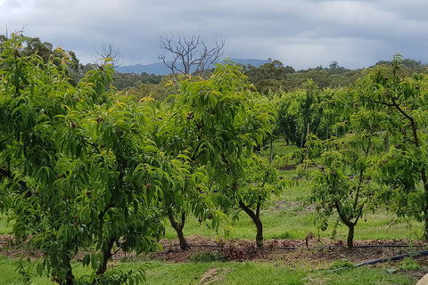 Yarra Valley Wineries And Rayners Orchard Tour From Melbourne - Accommodation BNB 2