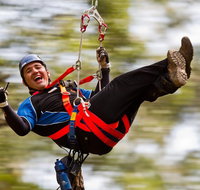 12 Apostles and Otway Fly Zipline Day Trip from Melbourne