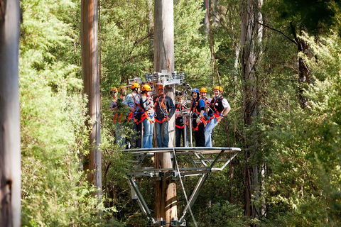 Adventure Sunset Three Day Great Ocean Road Tour - Accommodation BNB 1