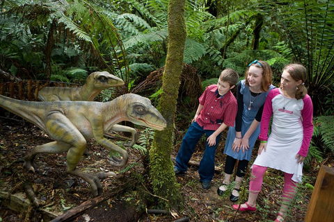 Adventure Sunset Three Day Great Ocean Road Tour - Accommodation BNB 2