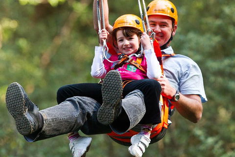 Adventure Sunset Three Day Great Ocean Road Tour - Accommodation BNB 4