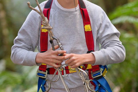 Adventure Sunset Three Day Great Ocean Road Tour - Accommodation BNB 5