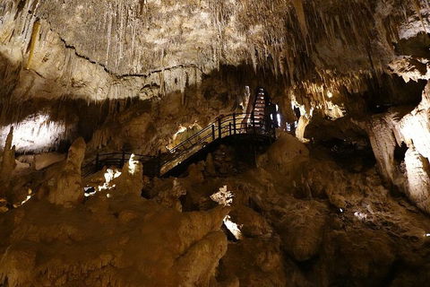 Ngilgi Cave Semi-guided Tour - Accommodation BNB 2