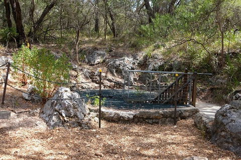 Ngilgi Cave Semi-guided Tour - Accommodation BNB 4