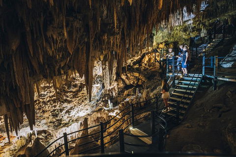 Ngilgi Cave Semi-guided Tour - Accommodation BNB 5