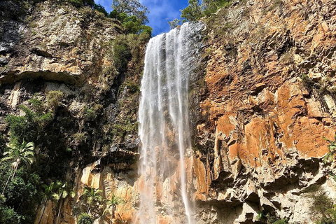 Springbrook Full Day Tour - Accommodation BNB 2