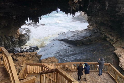 Kangaroo Island 4WD Tour - Best Of KI - Accommodation BNB 1