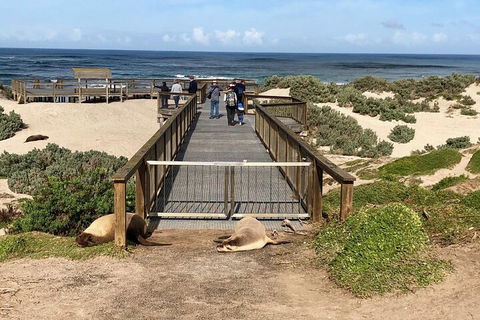 Kangaroo Island 4WD Tour - Best Of KI - Accommodation BNB 2