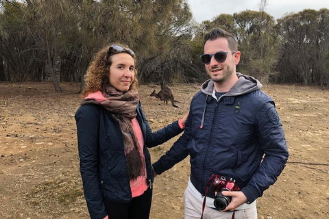 Kangaroo Island 4WD Tour - Best Of KI - Accommodation BNB 3