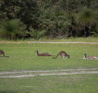 Yanchep  Lancelin - Wildlife Cave And Sands