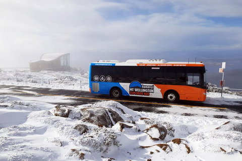 Kunanyi/Mt Wellington Tour & Hobart Hop-On Hop-Off Bus - Accommodation BNB 2