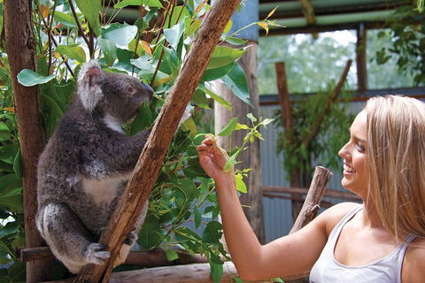 Private Guided Tour: Blue Mountains Tour From Sydney - Accommodation BNB 5