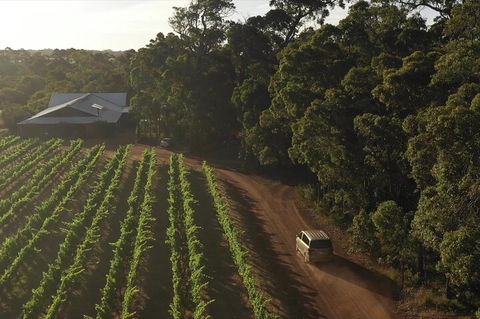 The All About Margaret River Tour: Wine, Coffee, Lunch And Forest - Accommodation BNB 1
