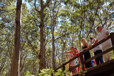 The All About Margaret River Tour: Wine, Coffee, Lunch And Forest - Accommodation BNB 3