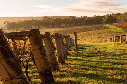 The All About Margaret River Tour: Wine, Coffee, Lunch And Forest - Accommodation BNB 5