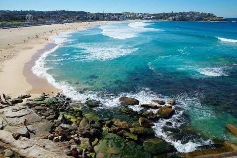 Private Sydney Foreshores And Beaches SUV Tour - Accommodation BNB 0