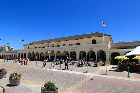 Private Sydney Foreshores And Beaches SUV Tour - Accommodation BNB 3