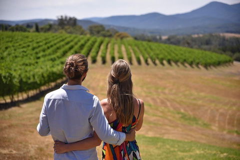 Yarra Valley Wine, Bubbles And Gin Tour! - Accommodation BNB 4