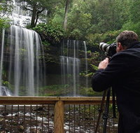 Mt Field and Styx Valley Photography Tour - Accommodation BNB