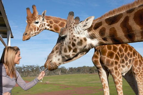 Melbourne City Card (2 Days): Visit Unlimited Attractions! - Accommodation BNB 1