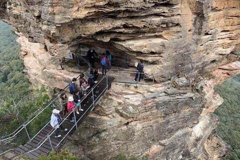 PJ Blue Mountains Supreme Day Tour - Accommodation BNB 0
