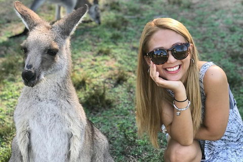 PJ Blue Mountains Supreme Day Tour - Accommodation BNB 2