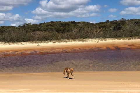 Pippies 3 Days 2 Nights Fraser Island Tour - Accommodation BNB 2