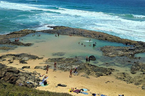 Pippies 3 Days 2 Nights Fraser Island Tour - Accommodation BNB 5