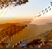 O'Reilly's  Lamington National Park incl. Alpaca Farm  Vineyard - Accommodation BNB