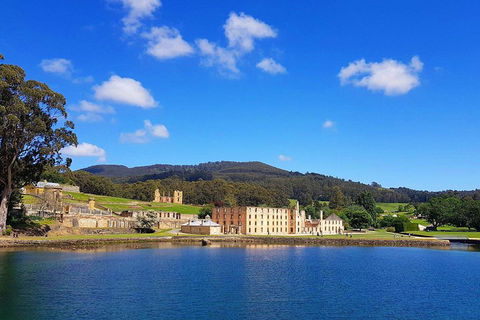 Tasmania 4 Day East Coast + Launceston - Accommodation BNB 0