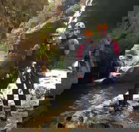 Blue Mountains Empress Canyon Adventure from Wentworth Falls - Accommodation BNB