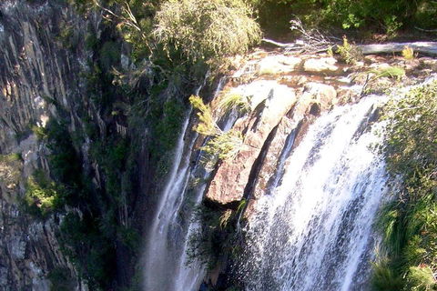 Byron Bay Combo: Hinterland Tour Including Minyon Falls And Kayaking With Dolphins - Accommodation BNB 3