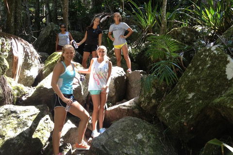 Byron Bay Combo: Hinterland Tour Including Minyon Falls And Kayaking With Dolphins - Accommodation BNB 4