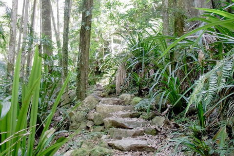 Byron Bay Combo: Hinterland Tour Including Minyon Falls And Kayaking With Dolphins - Accommodation BNB 5