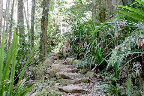 Byron Bay Combo: Minyon Falls And Hinterland Day Trip And Learn To Surf At Byron Bay - Accommodation BNB 3