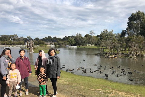 Phillip Island Penguins Private Tour - Accommodation BNB 1